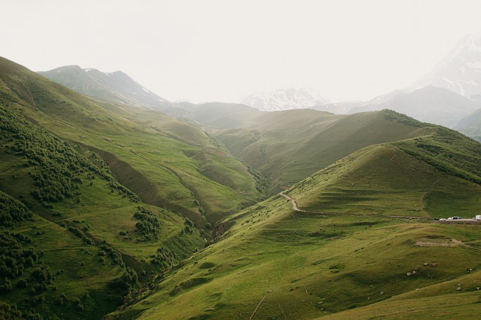 蜘蛛池引流原理深度剖析